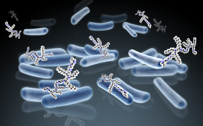 Amphiphilic polymers for the controlled disruption of the cell membrane: stimuli responsive action, activity against Mycobacterium