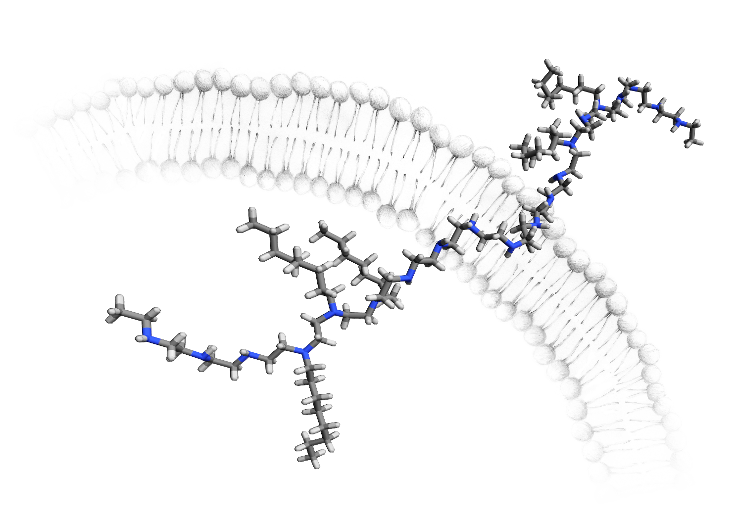 Controlled post-polymerization modification method and its application for construction of macromolecular membrane-lytic agents